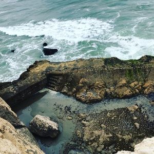 Meet your Posher, Eirish